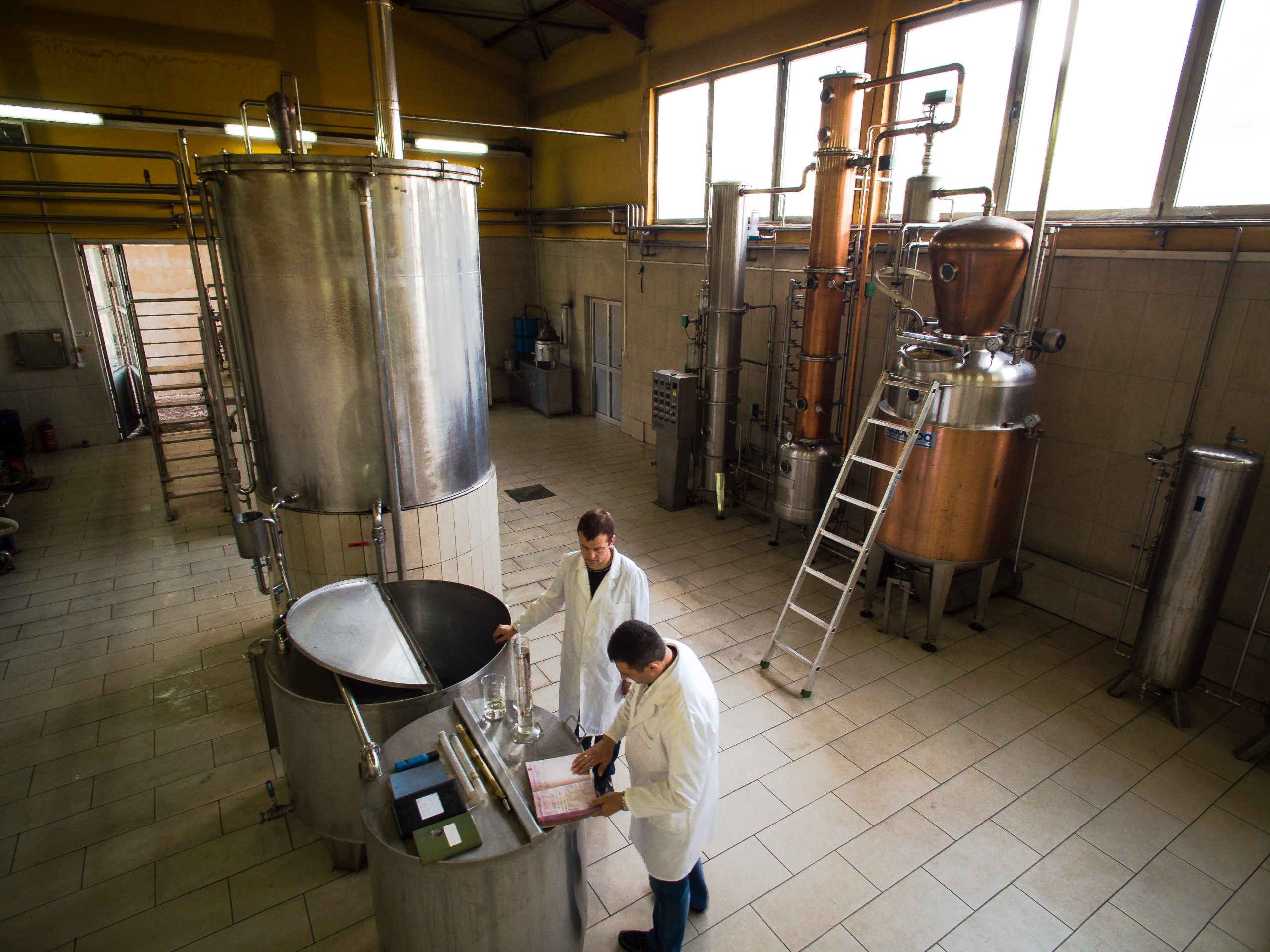 Kako je stvoren prvi srpski konjak od šljivovice? 1