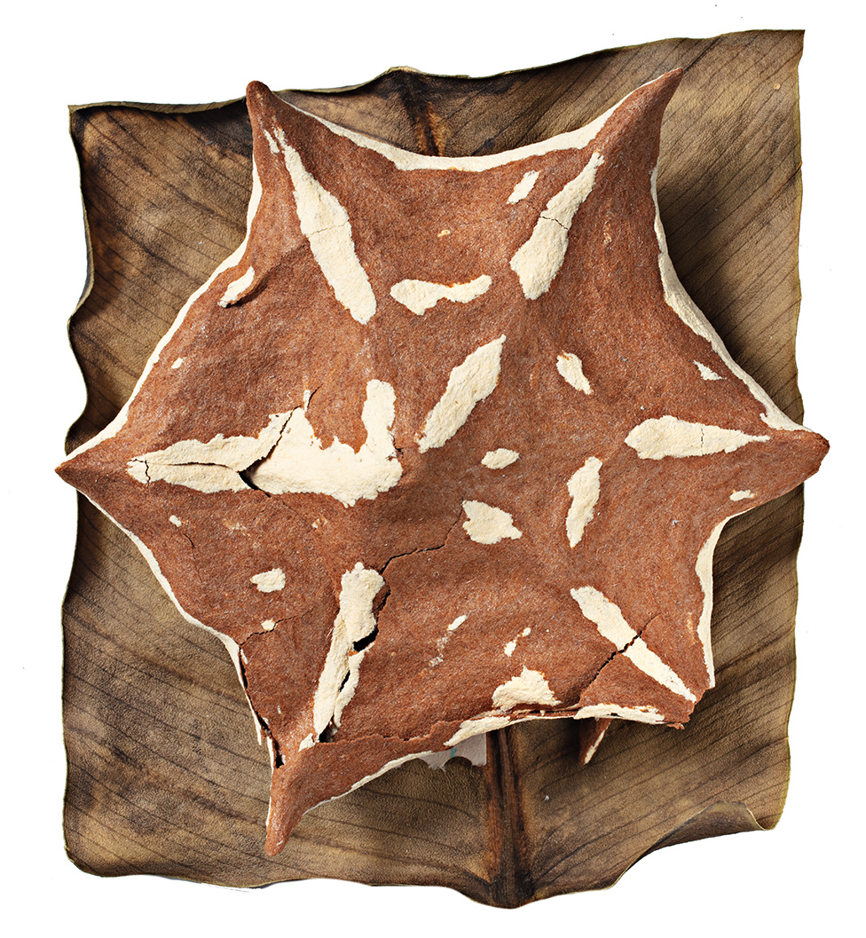 Ose: Kad već ne možete da ih volite, makar ih poštujte 5 Nest