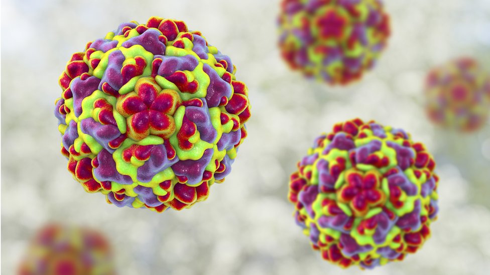 Virus, zdravlje i posao: Da li je u redu uzeti bolovanje kad ste prehlađeni 2 virus