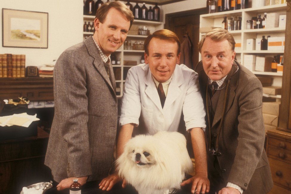 Noviteti na malim ekranima: Koje serije ćemo bindžovati u 2020. godini 1 All Creatures Great and Small