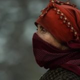 Oskar i Zemlja meda: Kako je film iz Severne Makedonije ušao u istoriju svetskog filma 3