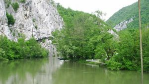 Mediji: Pomor ribe na Zapadnoj Moravi kod Kraljeva 1