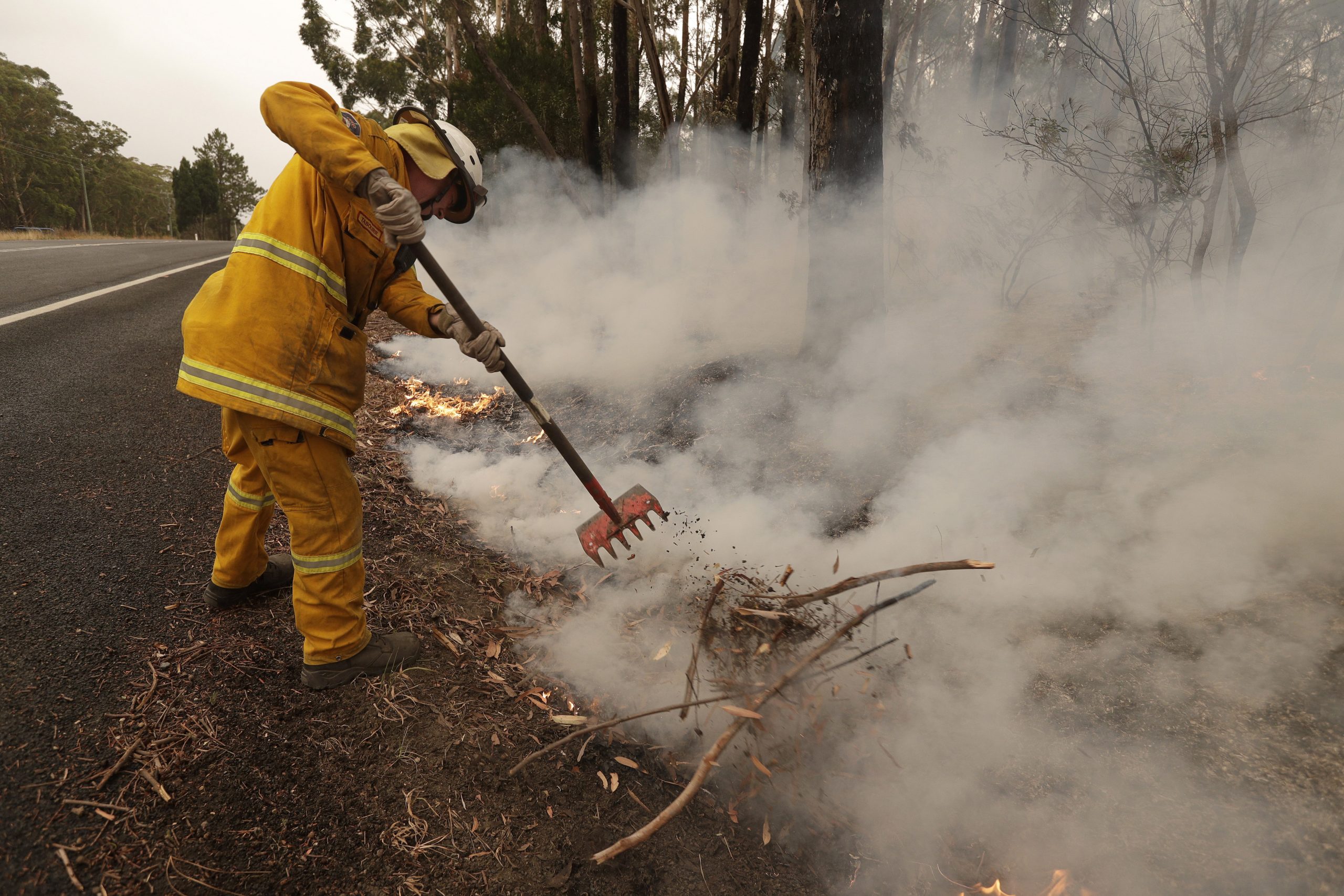 Ekološka fondacija DiKaprija daje tri miliona dolara za borbu protiv požara u Australiji 1
