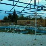 Projekcija "Bambilenda" u Njujorku 1