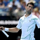 Jaki servis jedina briga 5