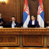 Vlada Srbije: Rokovi u upravnim postupcima produženi za 30 dana 13