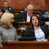 Marković: Ne smemo da dozvolimo kršenje ljudskih prava Srba na Kosovu 11