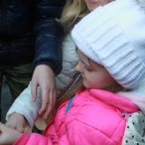 U porti Stare crkve u Kragujevcu sutra se lomi česnica, 8. januara humanitarna maniferstacija 6