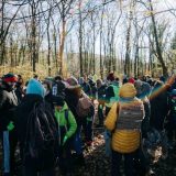 Egzit i ekološke organizacije uputile apel za masovno pošumljavanje Srbije 1