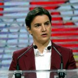 Za čist vazduh: Subvencije za električna vozila, milion stabala, zid sa mahovinom 11