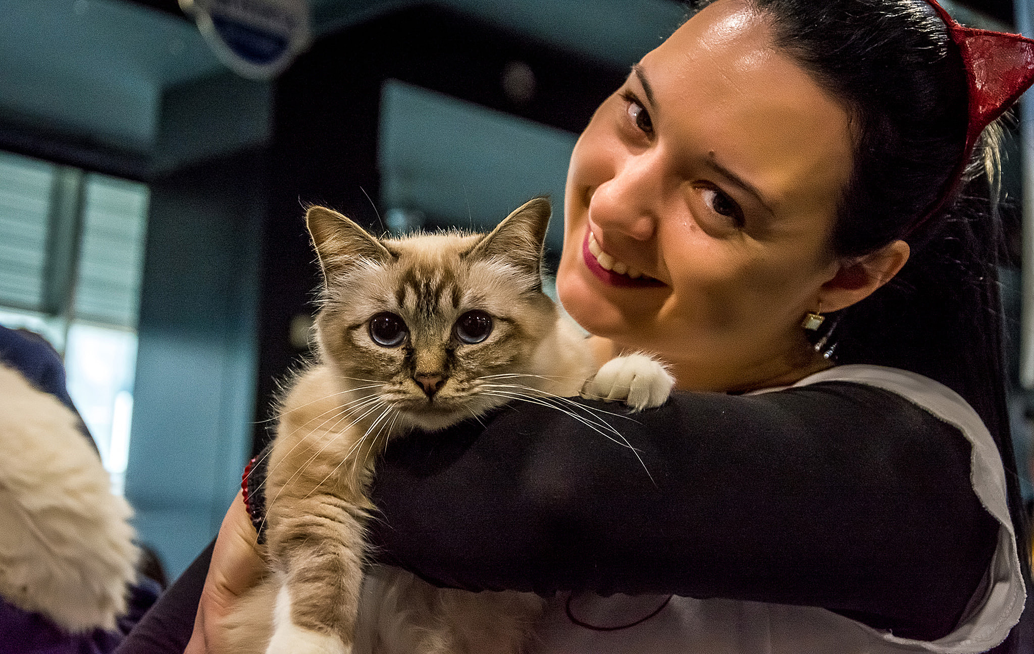 U Domu omladine za vikend šesti po redu Mrnjau Fest 1