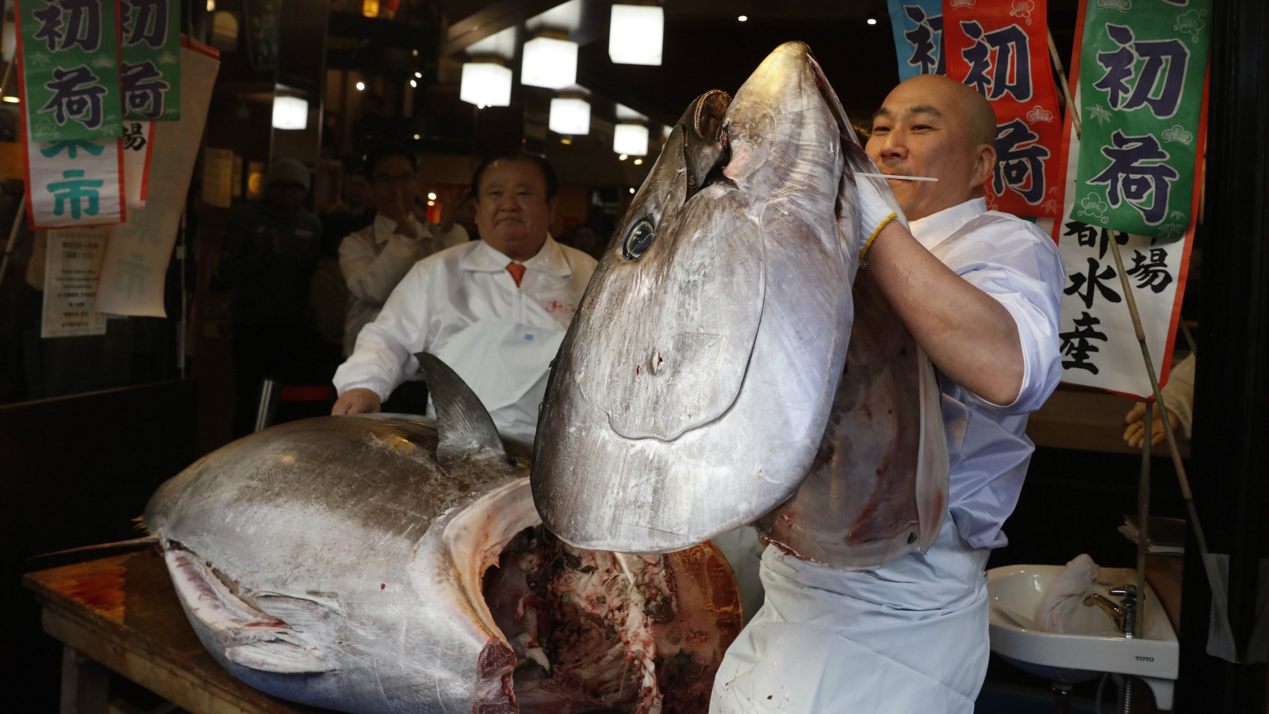 Džinovska tuna na pijaci u Japanu prodata za 1,5 miliona evra 1