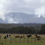 Protest ispred Simensa u Nemačkoj zbog zagađenja u Australiji 9