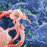 Hongkui Deng, imunolog koji modifikuje gene 1