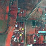 Snimak sa interneta pokazuje trenutak kad je oboren ukrajinski avion u Iranu 14