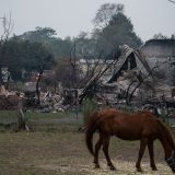 Australija: Kiša pada, požari gore, turizam propada 5