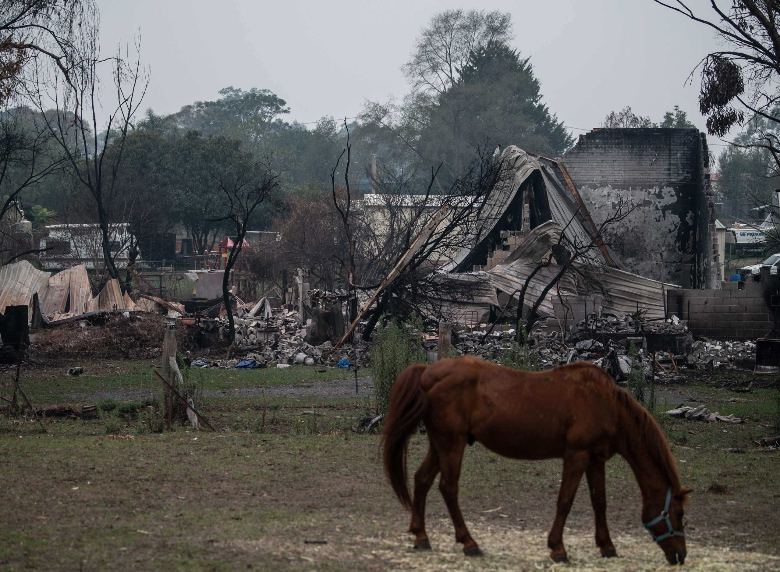 Australija: Kiša pada, požari gore, turizam propada 1