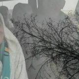 Zaječar: Ivana Milojković prva do časnog krsta 7