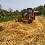 Subotica: Gradski štab za vanredne situacije apelovao da se ne spaljuju biljni ostaci 3
