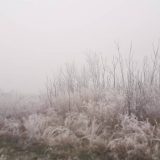 RHMZ: U Srbiji danas oblačno i hladnije uz formiranje snežnog pokrivača 4