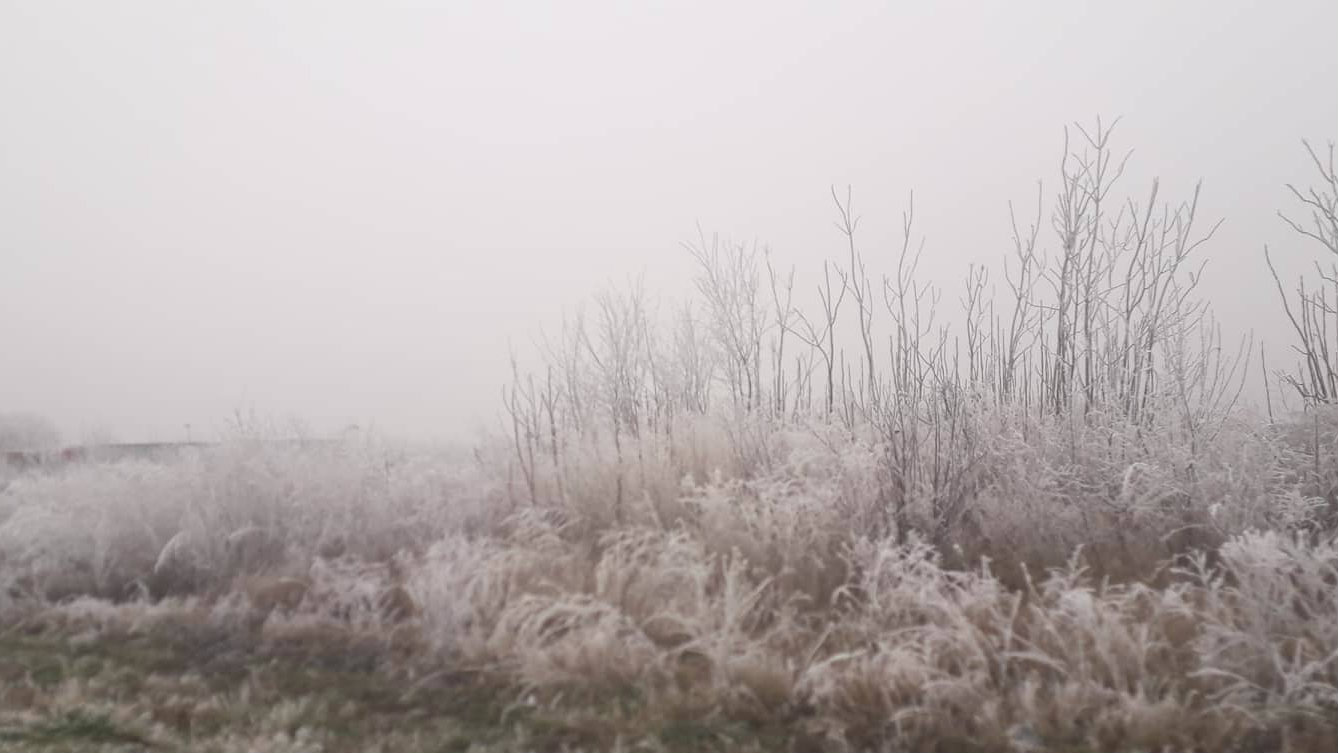 RHMZ: U Srbiji danas oblačno i hladnije uz formiranje snežnog pokrivača 1