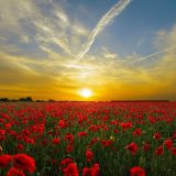 Danas pretežno sunčano i toplo vreme 4