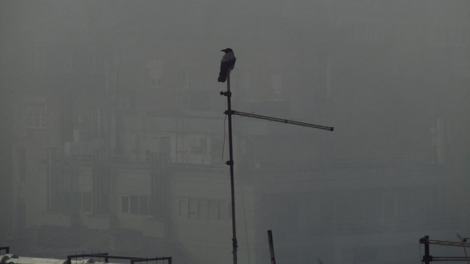 Najzagađeniji januar u Beogradu u poslednjih šest godina 1