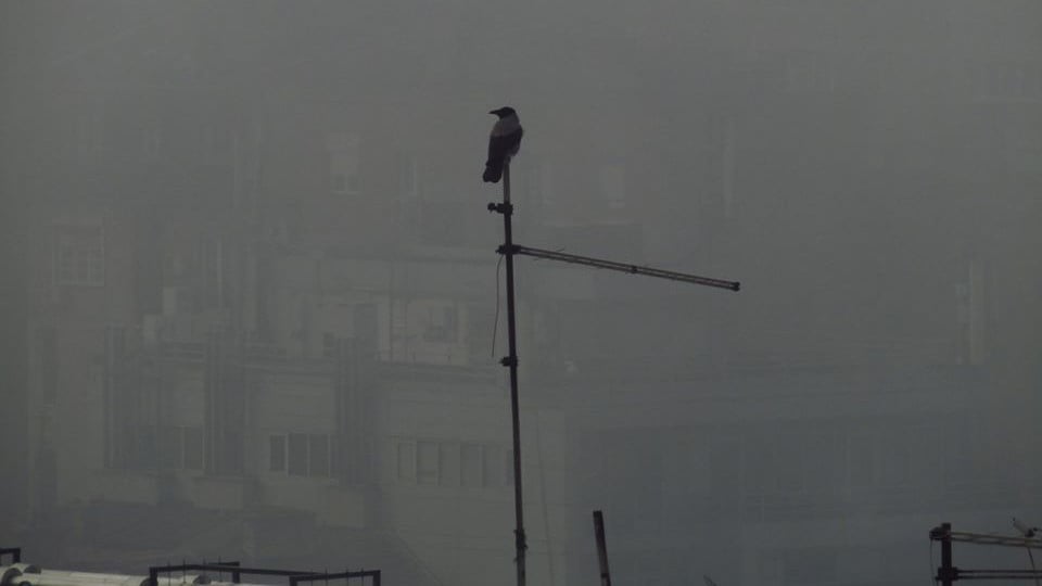 Najzagađeniji januar u Beogradu u poslednjih šest godina 1