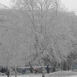 Kakva nas zima očekuje? 2