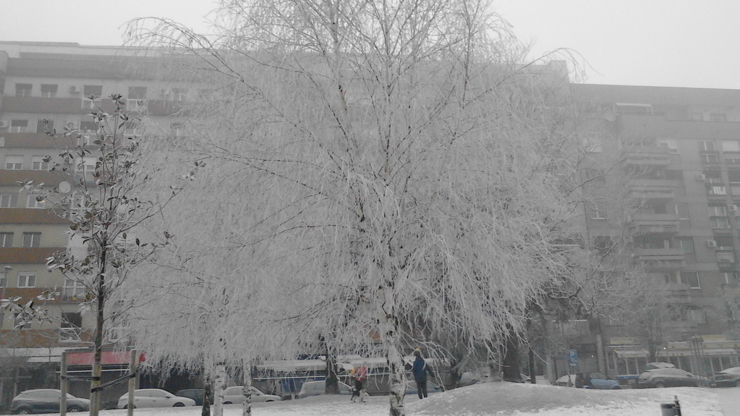 Kakva nas zima očekuje? 1