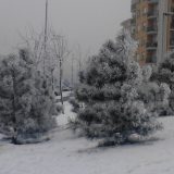 Danas počinje zima 4