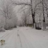 U planinskim krajevima se očekuje sneg, potreban dodatan oprez na putevima 14