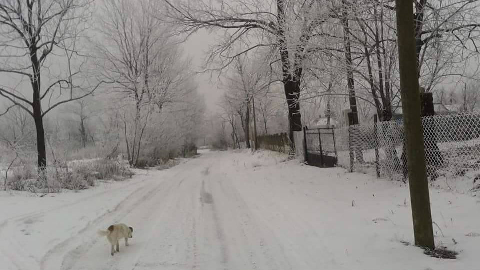 Sjenica: Vanredna situacija, čiste se prioritetni putevi 1