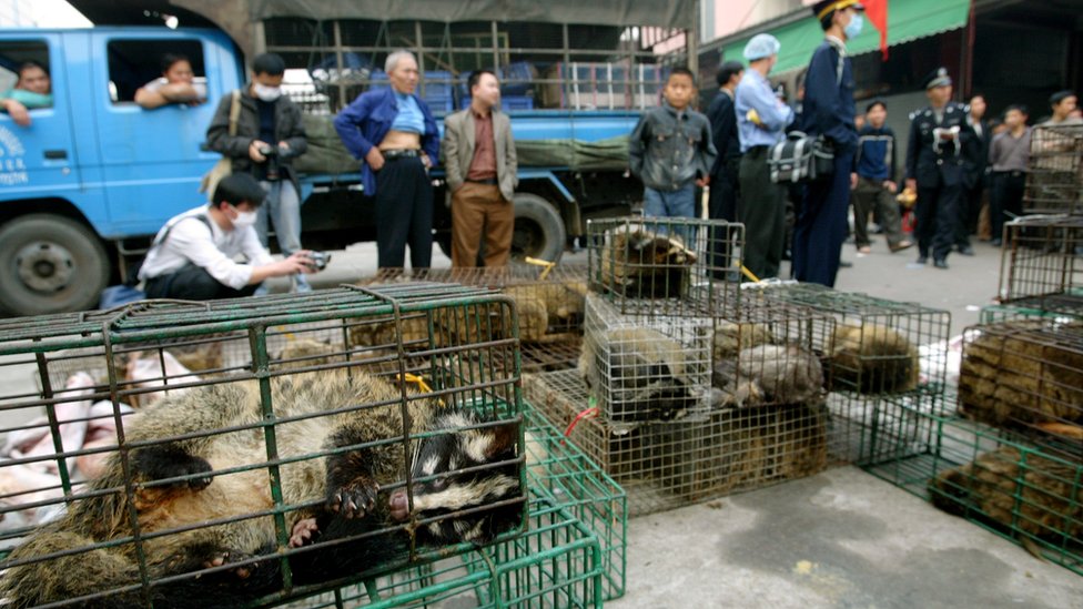 Kako bi epidemija korona virusa mogla da bude blagoslov za divlje životinje 3 Officials seize civet cats in Xinyuan wildlife market in Guangzhou to prevent the spread of the SARS disease