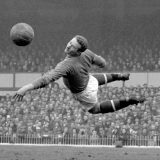 Preminuo nekadašnji golman Junajteda Hari Greg, jedan od heroja minhenske tragedije aviona iz 1958. 11