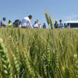 Ratari i dalje vode spor o "izdvajanju" 3.000 hektara 1