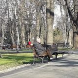 Nikodijević: Službe za brigu o starima zbog korona virusa 11