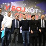 Jeremić: Podrška ideji SZS nije ni izbliza tolika da bi uzdrmala aktuelnu vlast 12