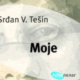 "Moje" između književnosti i života 15