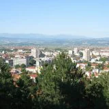 Na leskovačkoj roštiljijadi nastupaće Ceca, Bebek i Bekuta 5