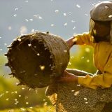 Muratova: Ako uzmemo jednog Oskara biće pola-pola, kao i sa medom i pčelama 11