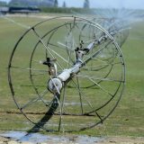 Srbija trpi štetu u agraru jer se navodnjava manje od 10 odsto korišćenog poljoprivrednog zemljišta 8