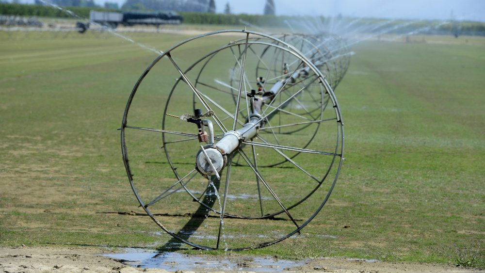 Srbija trpi štetu u agraru jer se navodnjava manje od 10 odsto korišćenog poljoprivrednog zemljišta 1