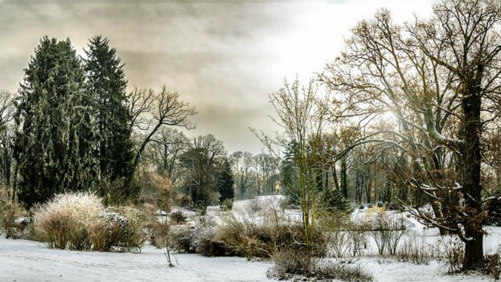 Udari vetra u Nemačkoj povremeno i do 140 km/h 1