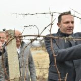 Tradicionalno orezivanje "Tikveš" vinograda u čast Sv. Trifuna 5