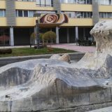 Protestni skup „Borba za čist vazduh“ 5. februara u Kraljevu 7