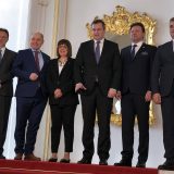 Gojković: Srbija ceni podršku Slovačke, Austrije, Češke i Hrvatske za EU integracije 6