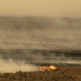 U Kanberi danas 42,7 stepeni Celzijusa 11