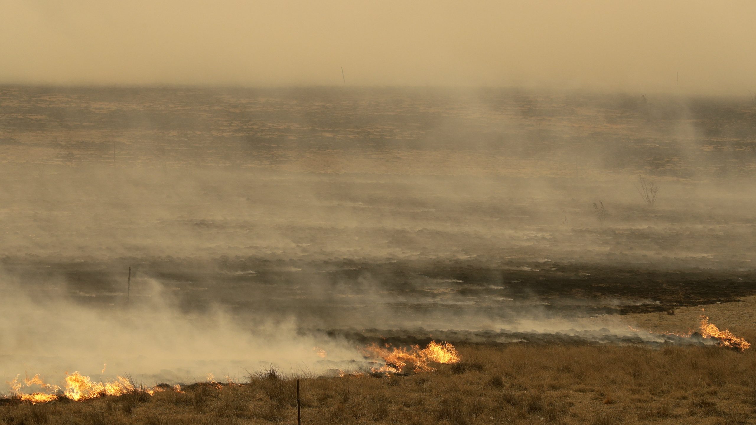 U Kanberi danas 42,7 stepeni Celzijusa 1