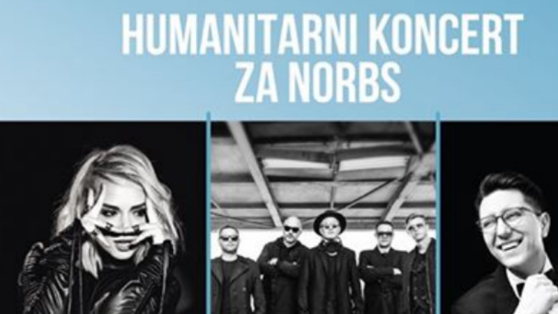 Ana Štajdohar, Tropico: Humanitarni koncert povodom obeležavanja Dana retkih bolesti, 1